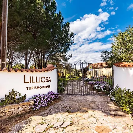 Villa Casa Lilliosa Campavaglio Exterior foto
