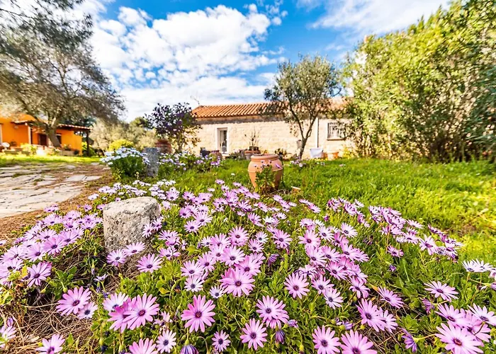 Casa Lilliosa