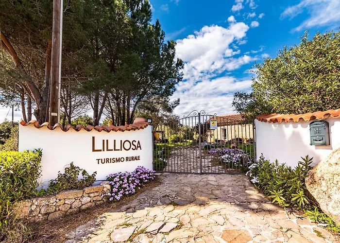 Casa Lilliosa
