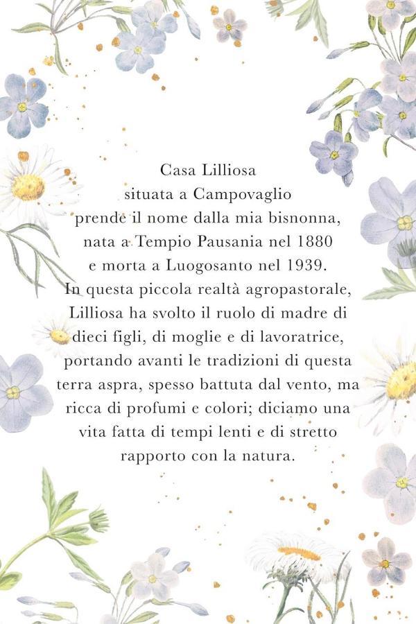 Holiday home Casa Lilliosa Campavaglio