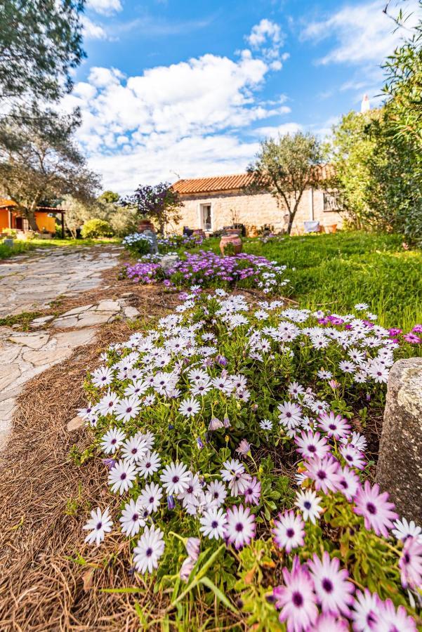 Casa Lilliosa Holiday home *