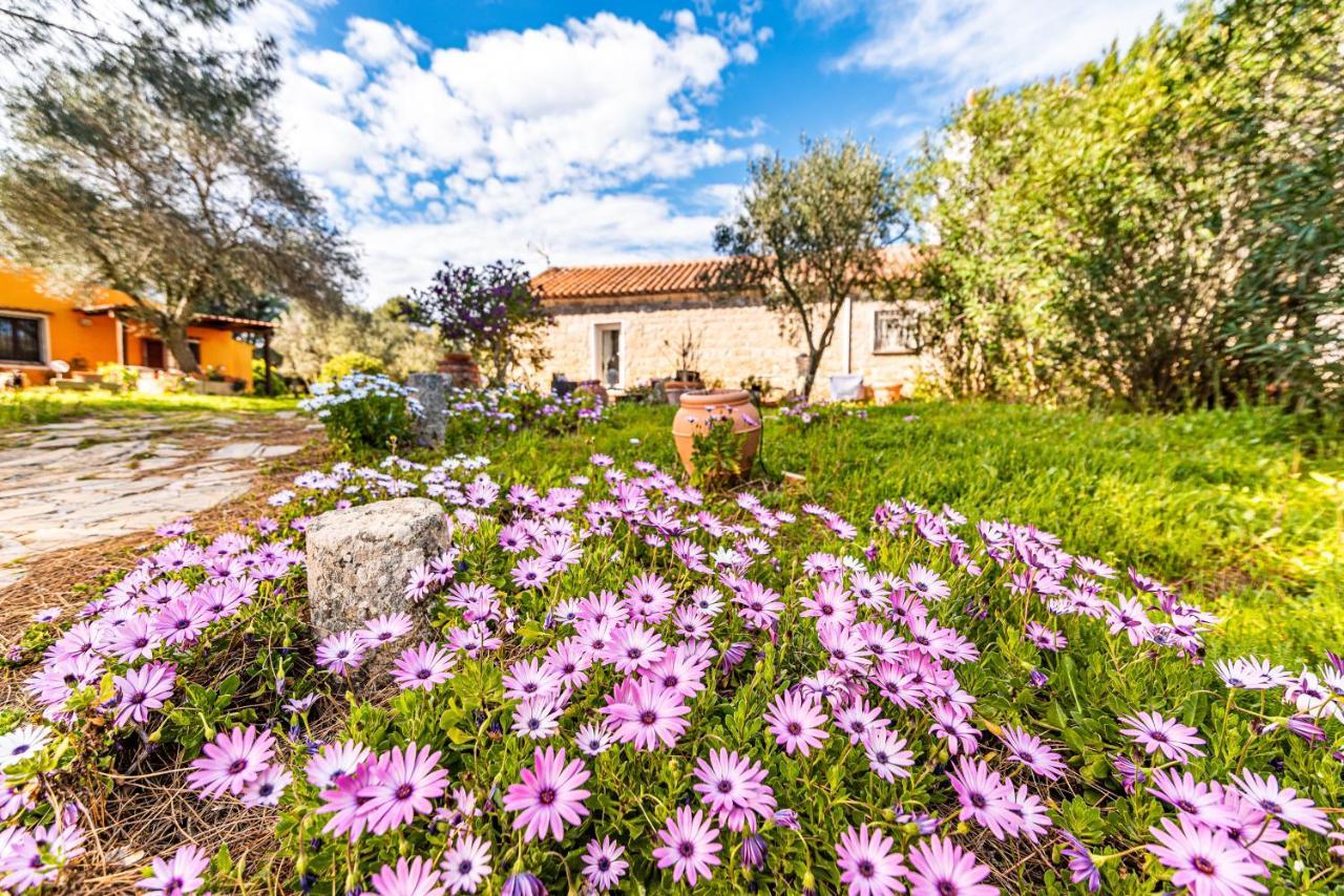 Holiday home Casa Lilliosa Campavaglio